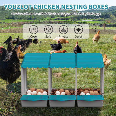 Mpow One-piece chicken nest, available in one or three sets, with automatic egg collection. Made of galvanized steel, easy to assemble, comfortable and safe for hens to lay eggs.