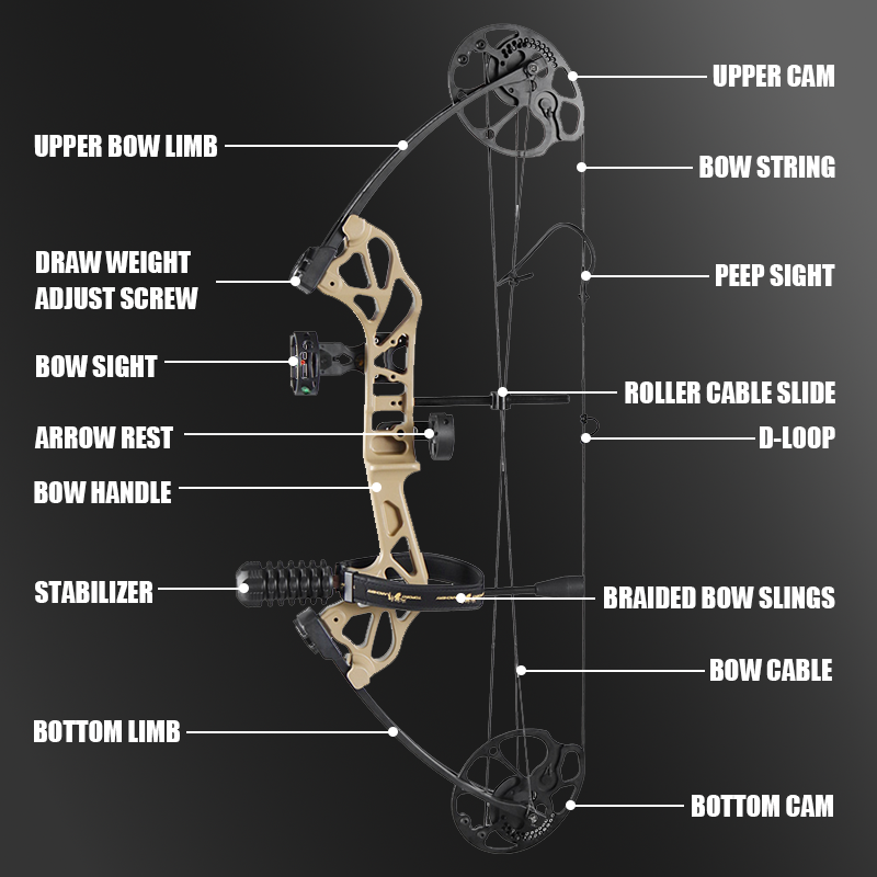 Mpow 28-inch Compound Bow with Sight +12 30-inch  Arrows