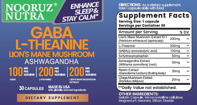 NOORUZ Extract Organic Lion's Mane Mushroom with GABA & Ashwagandha & L-Theanine - for Sleep & Memory & Relaxation - Mushroom for Focus -Capsules