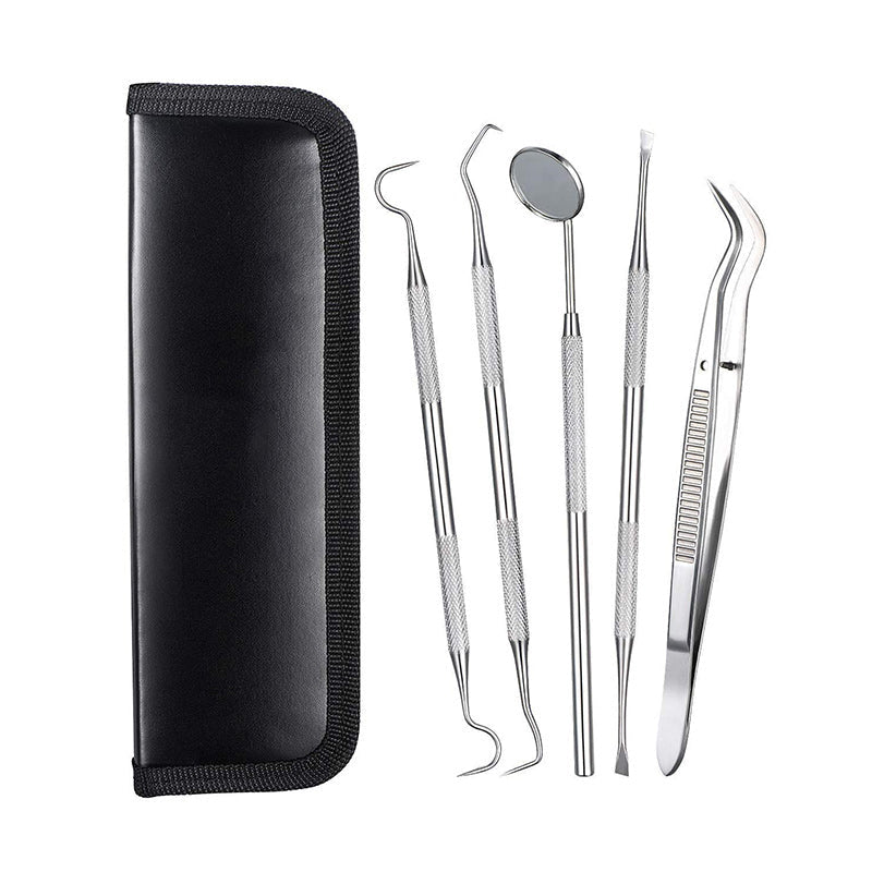 006AB 5 PACK Dental Pick Oral Care Kit