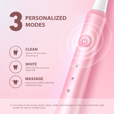 141AP Sonic Electric Toothbrush with 10 Brush Heads