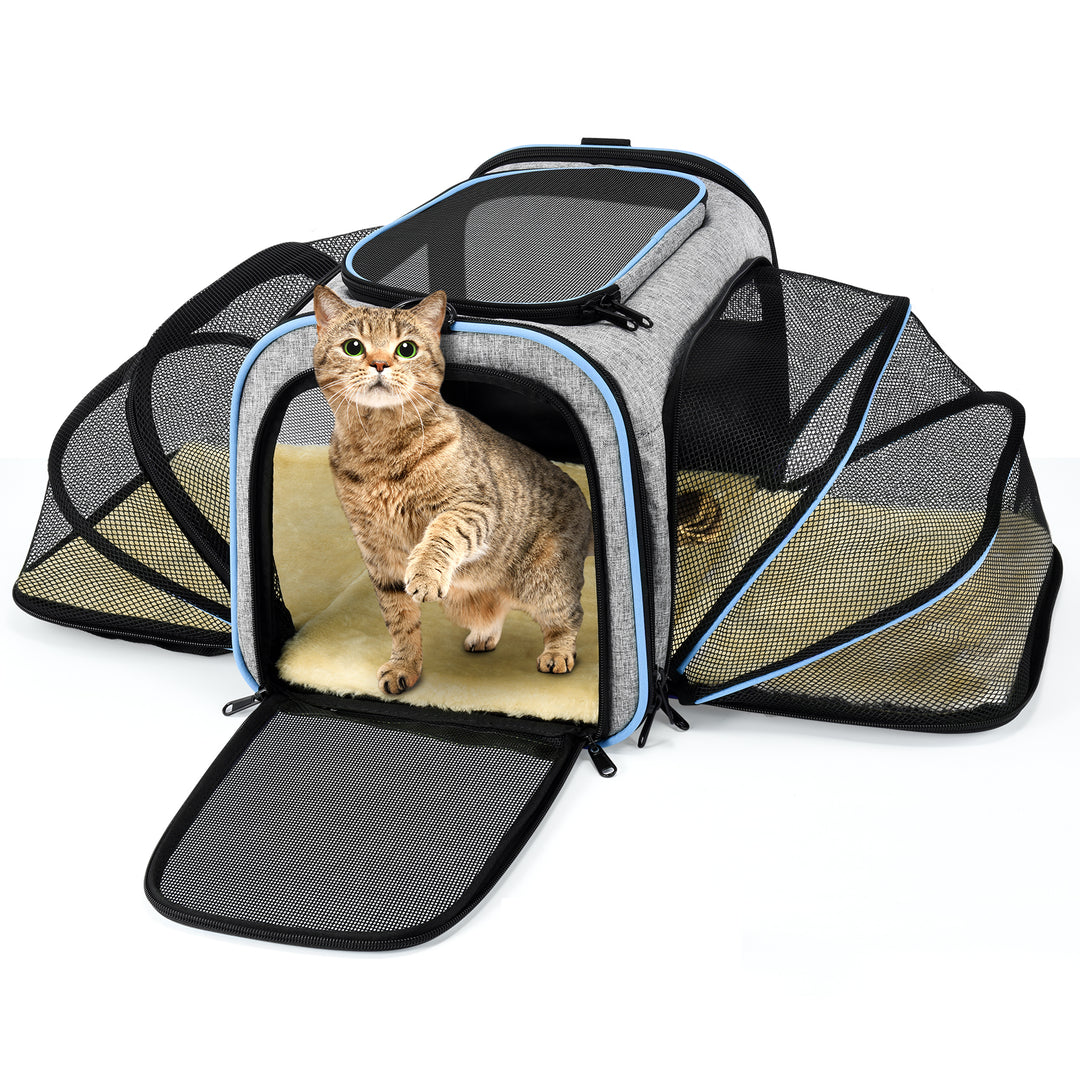 069A Pet Carrier Airline Approved – MPOW